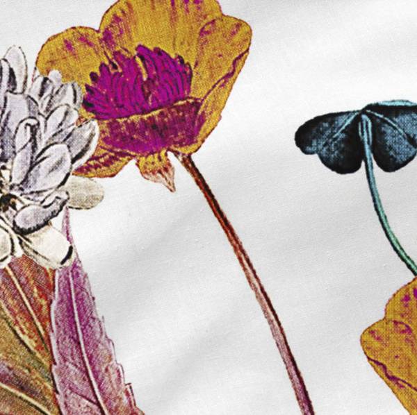 Kissenbezug Birds of paradise (2er Set) Textil - 50 x 1 x 75 cm