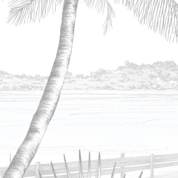 Papier peint  Echappée Tropicale Gris Gris - Largeur : 450 cm