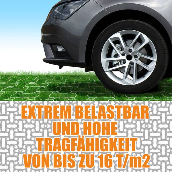 Rasengitter 1000722 100er Set Anzahl Teile im Set: 100