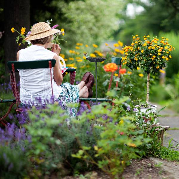 Bain d'oiseaux en fonte de fer Noir - Vert - Fonte - 14 x 101 x 19 cm