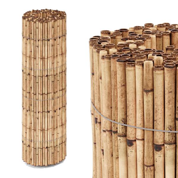 Schilfrohrmatte Allzio Breite: 300 cm