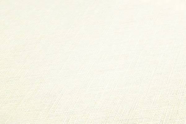 Vliestapete 369254-GU Weiß - Fleece - 53 x 1005 x 1 cm