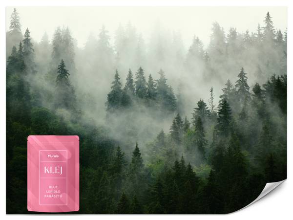Fototapete Wald Nebel Bäume Natur 200 x 140 x 140 cm