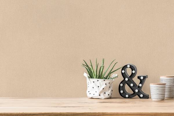 Vliestapete 4277 einfarbig modern Design Beige - Fleece - 53 x 1005 x 1 cm