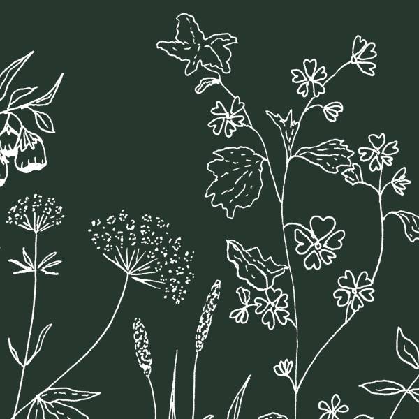 Papier peint  Sous la canopée Vert foncé - Largeur : 375 cm