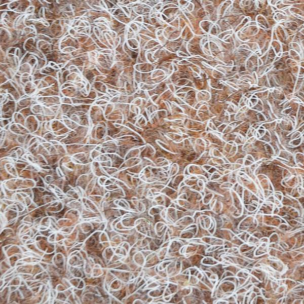 Rasenteppich Farbwunder Beige - 133 x 350 cm