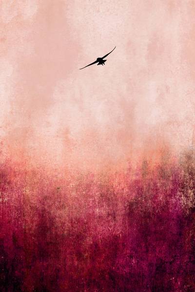 Leinwandbild Warm Sunset 80 x 120 cm
