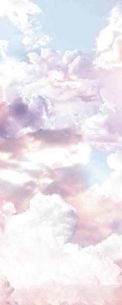 Fototapete 611927 Pink - Papier - 100 x 250 x 100 cm