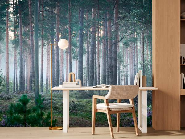 Fototapete Wald Nebel Natur Moos 200 x 140 x 140 cm