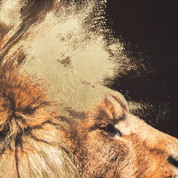 Tuch ANIMAUX Gold - Holzwerkstoff - 2 x 90 x 60 cm