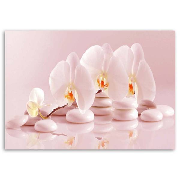 Wandbild orchideen zen in puderrosa 120 x 80 cm
