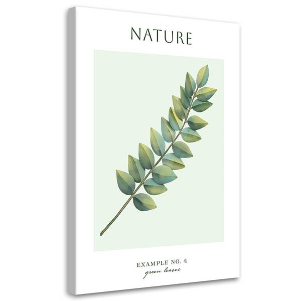 Wandbild blätter – natur 80 x 120 cm