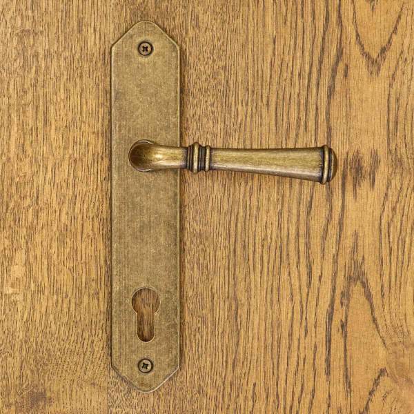 Poignée de Porte HAMILTON PZ72 Doré