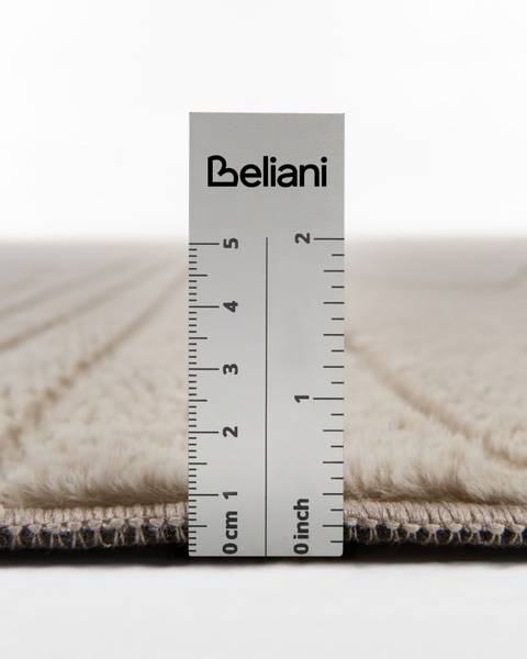 Teppich ONTAKE Beige
