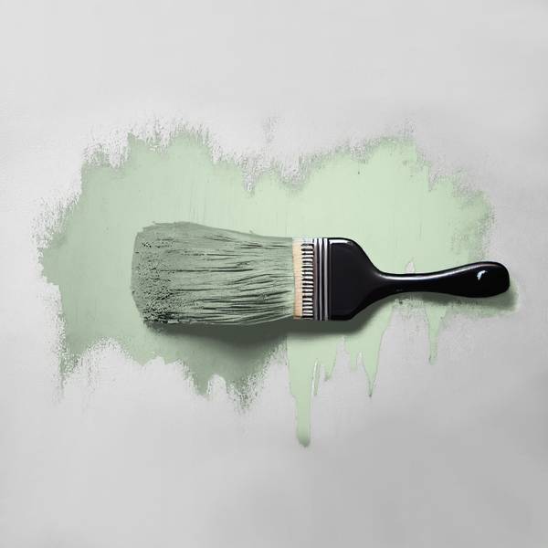 Universal Wandfarbe Grün Woodruff Cream 2500 ml