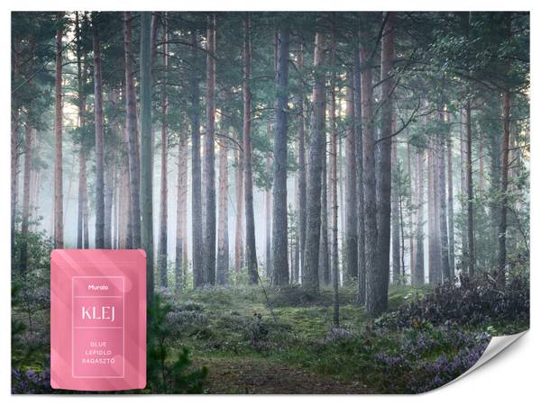 Fototapete Wald Nebel Natur Moos 200 x 140 x 140 cm