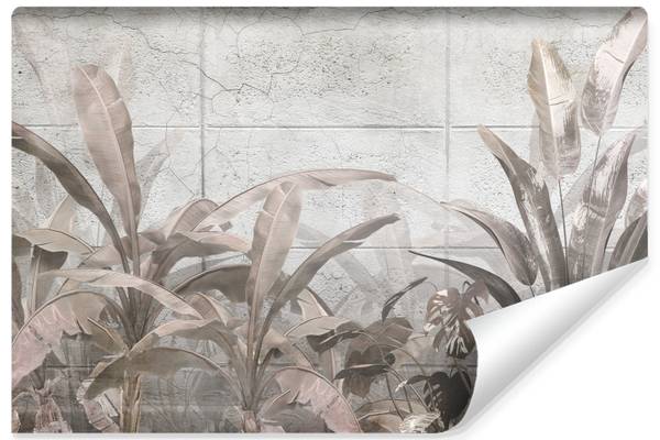 Vlies-Fotobehang TROPISCHE Planten Beton 90 x 60 x 60 cm