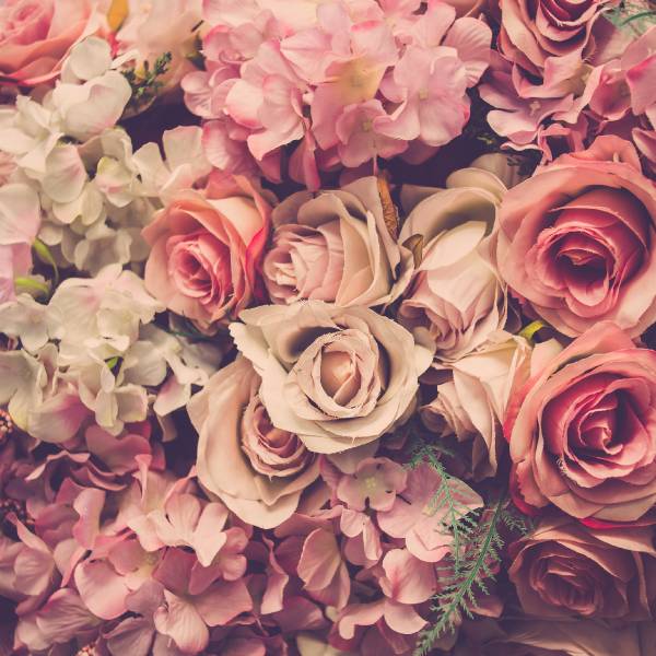 Fototapete BLUMEN Pflanzen Natur 3D 270 x 180 x 180 cm