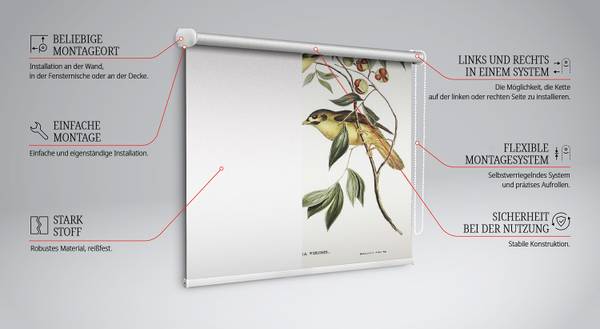 Innenrollo Vögel auf dem Baum 150 x 240 x 1 cm