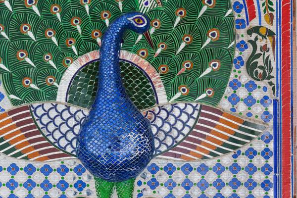 Leinwand 60x40 Pfau Polyester - 3 x 60 x 40 cm