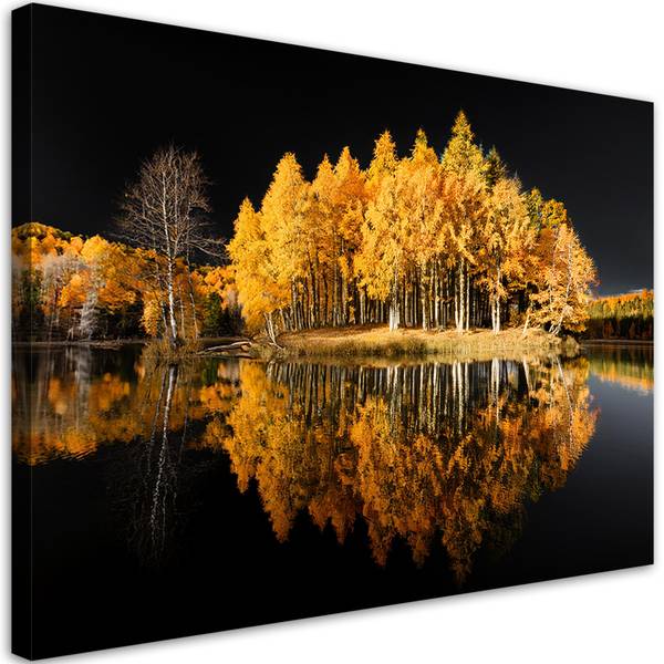 Wandbild wald bäume herbst 60 x 40 cm