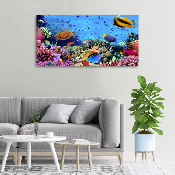 Wandbild Korallenriff 100 x 50 cm