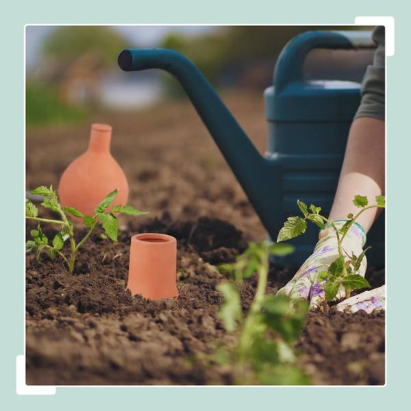 Ollas d'arrosage1,5 l, Set de 2 Marron - Céramique - 15 x 20 x 15 cm