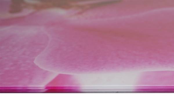 Glasbild T114 Orchide Sicherheitsglas - 100 x 50 x 4 cm
