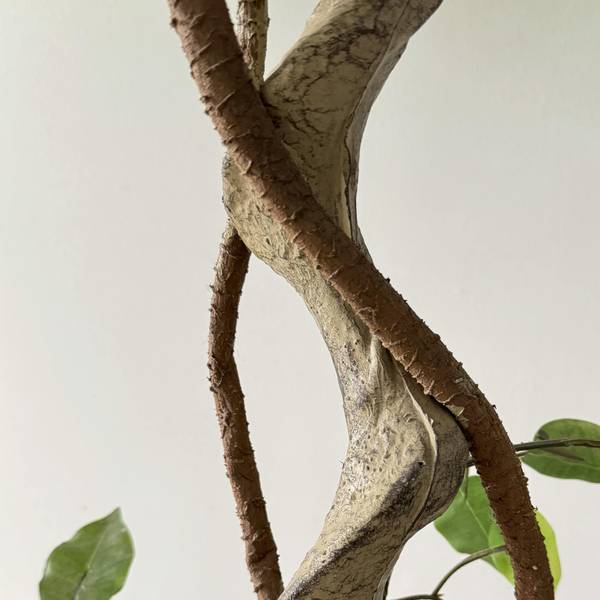 Kunstpflanze Ficus RE7036 Grün - Kunststoff - 40 x 120 x 40 cm