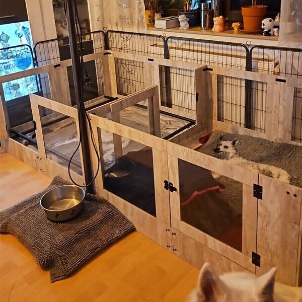 Wurfkiste Welpenauslauf Hundelaufstall Grau - Holzwerkstoff - Glas - 118 x 60 x 120 cm
