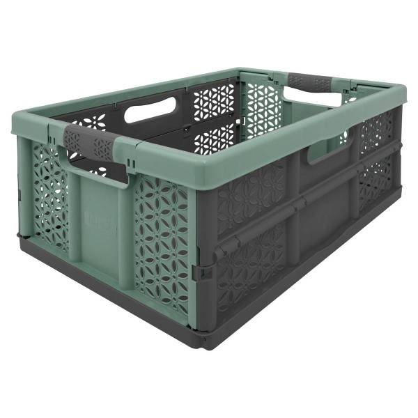 Faltbare Kiste FOLD N BOX kaufen
