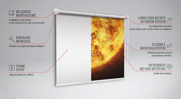 Verdunkelungsrollo RETICULUM 60 x 140 cm