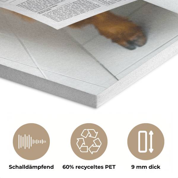 AKUSTIKBILD Hochlandrind 60 x 80 cm