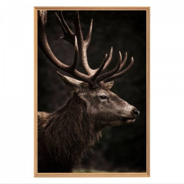 Tableau mural mat encadré cerf Noir - Acacia - 95 x 65 x 3 cm