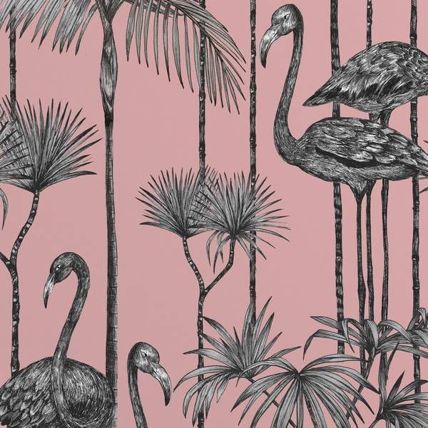 Tapete Pelikane Pink - Papier - 200 x 250 x 1 cm