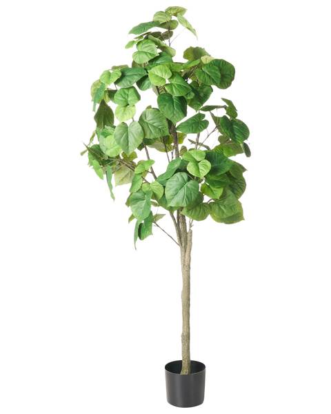 Plante artificielle FICUS TREE Noir - Vert - Matière plastique - 70 x 160 x 70 cm