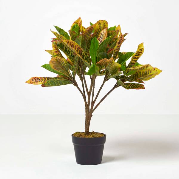 Kunstplant Wonderstruik groen