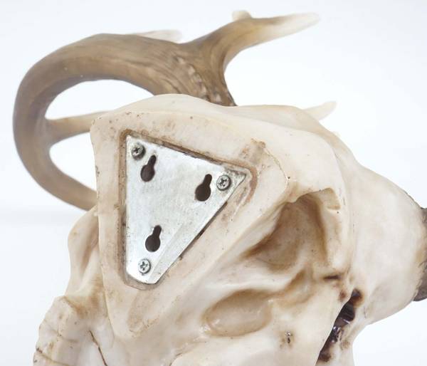 Decoratieve schedel met hertengewei beige - polyresin - 58 x 40 x 42 cm