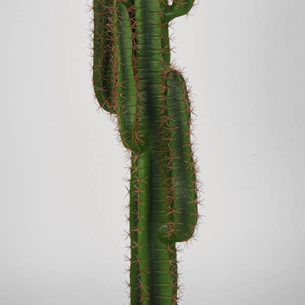 Künstliche Pflanze CACTUS Grün - Kunststoff - 30 x 130 x 25 cm
