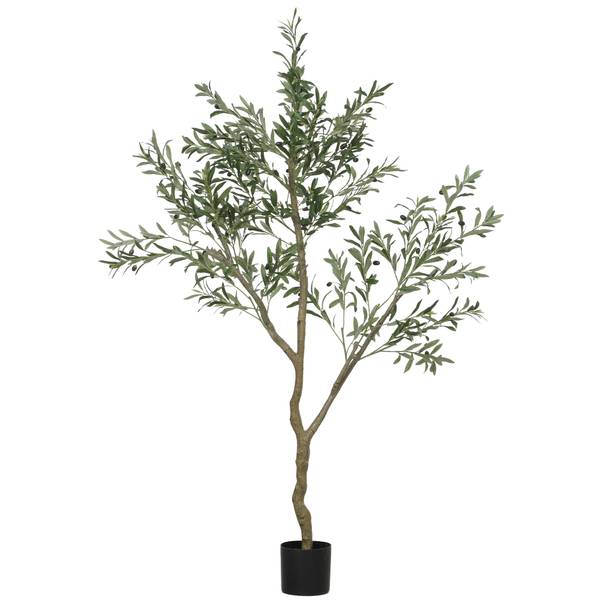hicksii taxus Hicks Yew | Hicks Yew Hedge