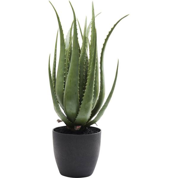 Plante décorative Aloe 69cm Vert - Matière plastique - 20 x 69 x 20 cm
