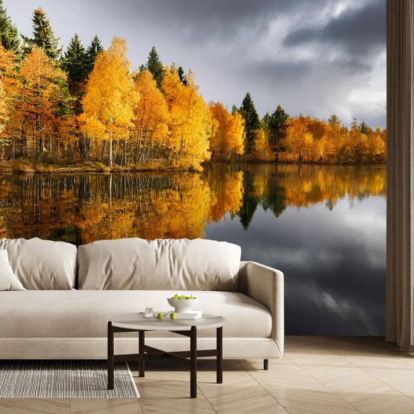 Fotobehang herfstbos aan het meer 150 x 105 cm