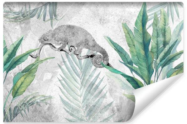 Papier Peint CAMÉLÉON Plantes Béton Vert - 315 x 210 x 210 cm