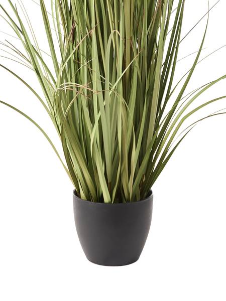 Kunstplant POMPOM GRASS zwart - groen - roze - kunststof - 50 x 120 x 50 cm
