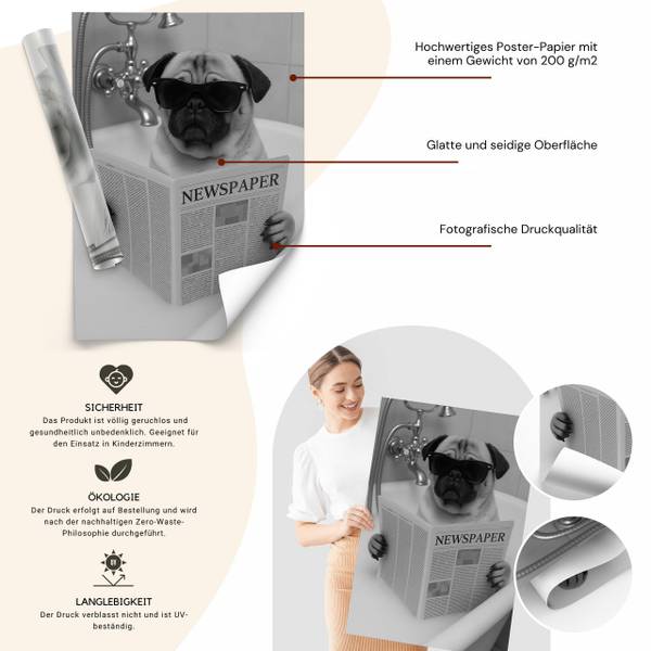 Poster MOPS in der Badewanne 20 x 30 x 30 cm