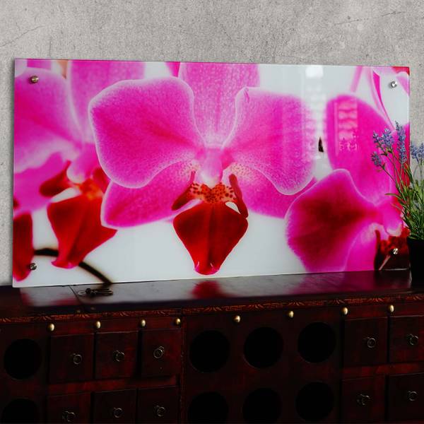 Glasbild T114 Orchide Sicherheitsglas - 100 x 50 x 4 cm