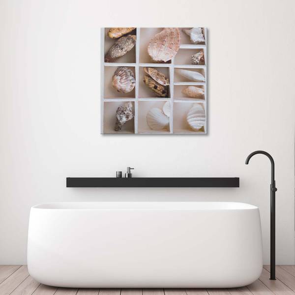 Wandbild sortierte muscheln in einer 30 x 30 cm