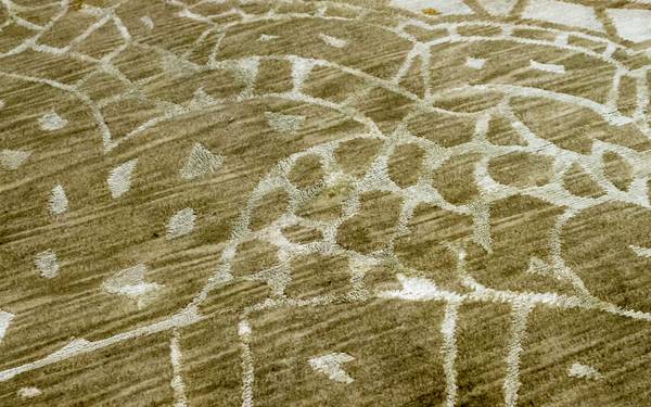 Handgeknüpft Wollteppich Braun - Wolle - 152 x 2 x 236 cm