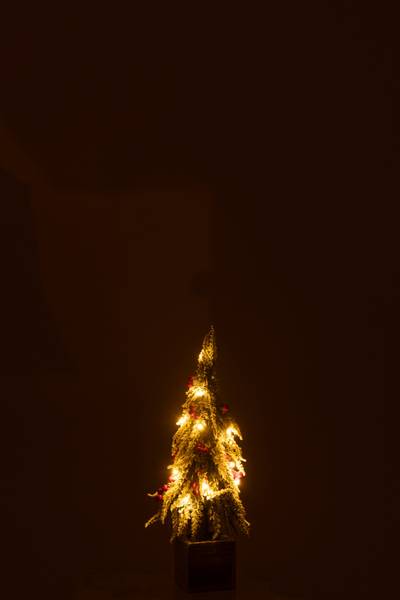 Weihnachtsbäume 13 x 40 x 13 cm