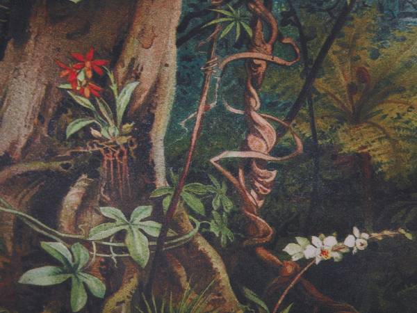 Sessel VOSS Schwarz - Blau - Braun - Dunkelgrün - Grün - Gelb